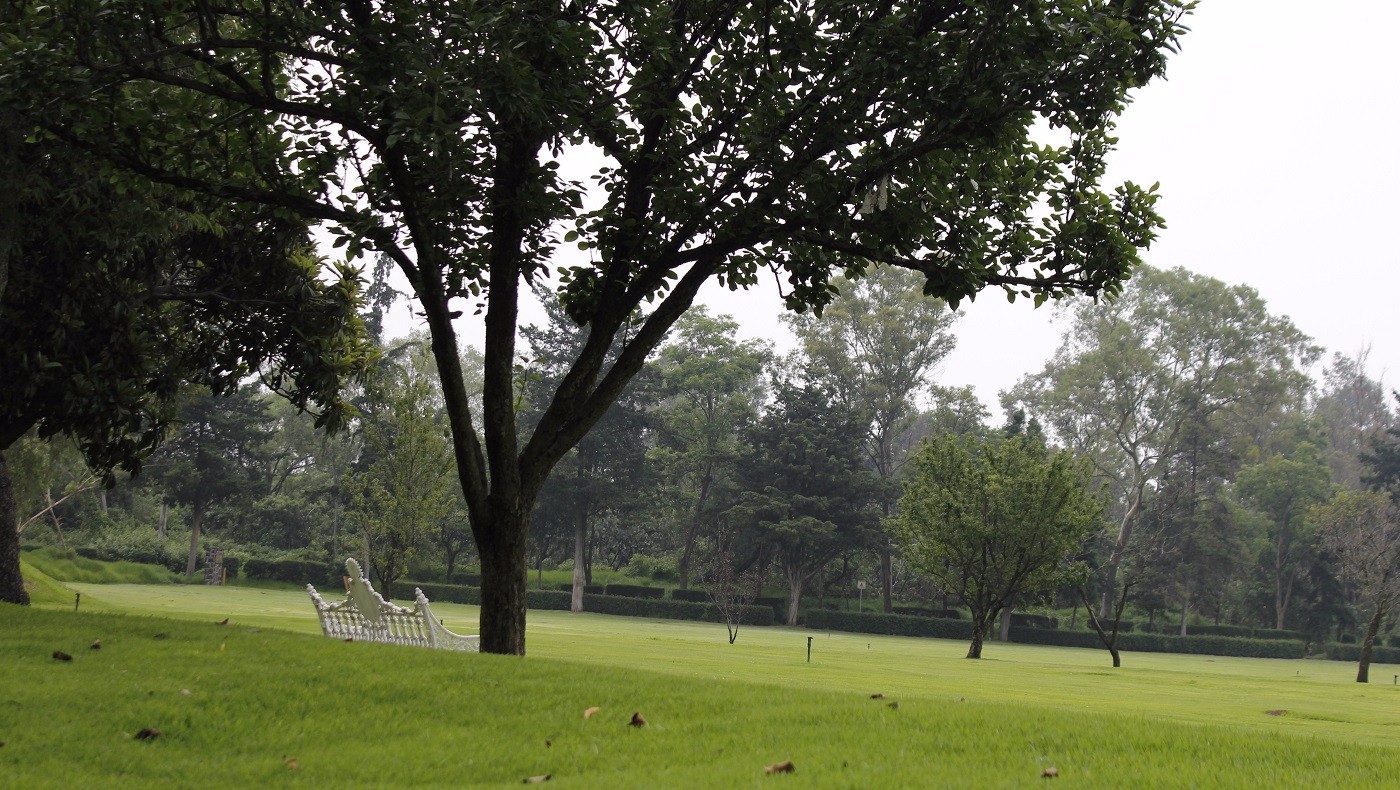 jardin-botanico-unam-pasto