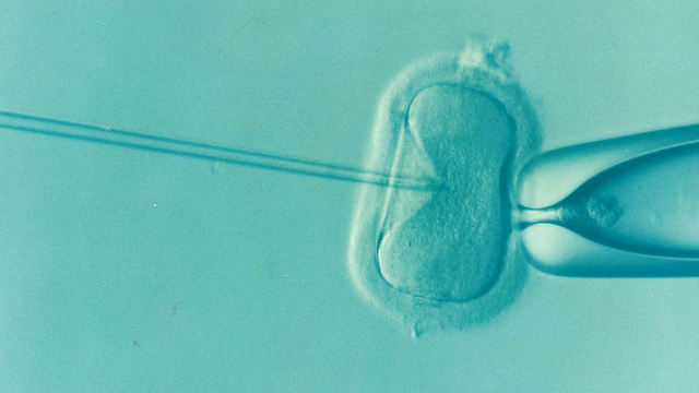 fertilidad-ivf fertilidad-ivf