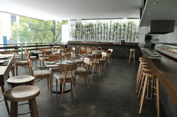 Wa-Teppan-Sushi-Insurgentes Wa-Teppan-Sushi-Insurgentes
