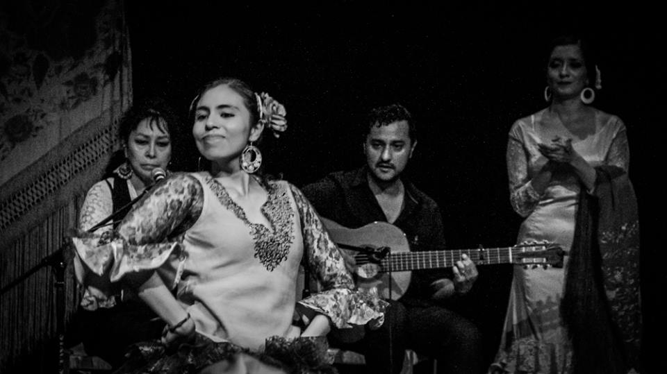 uva-flamenco uva-flamenco