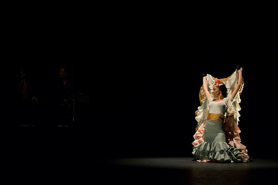 Tauro-flamenco-1