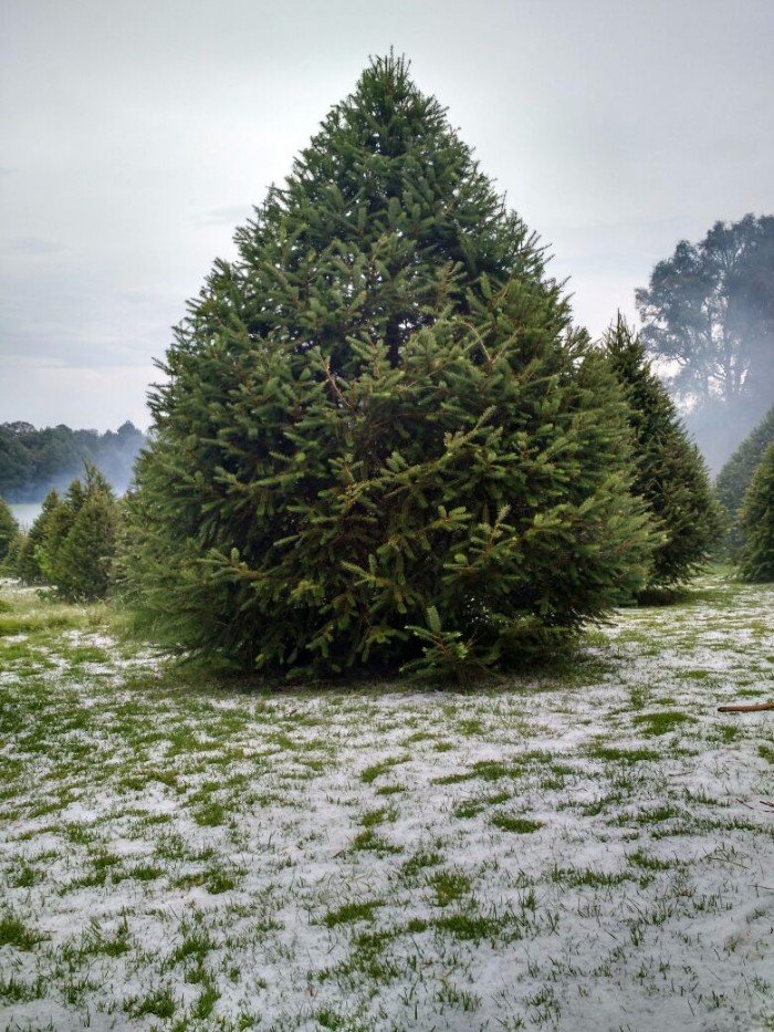 rancho-el-paraiso-nieve rancho-el-paraiso-nieve