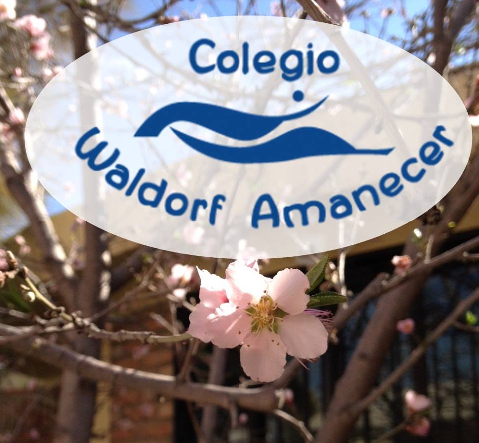 colegio-waldorf-amanecer-momadvisor