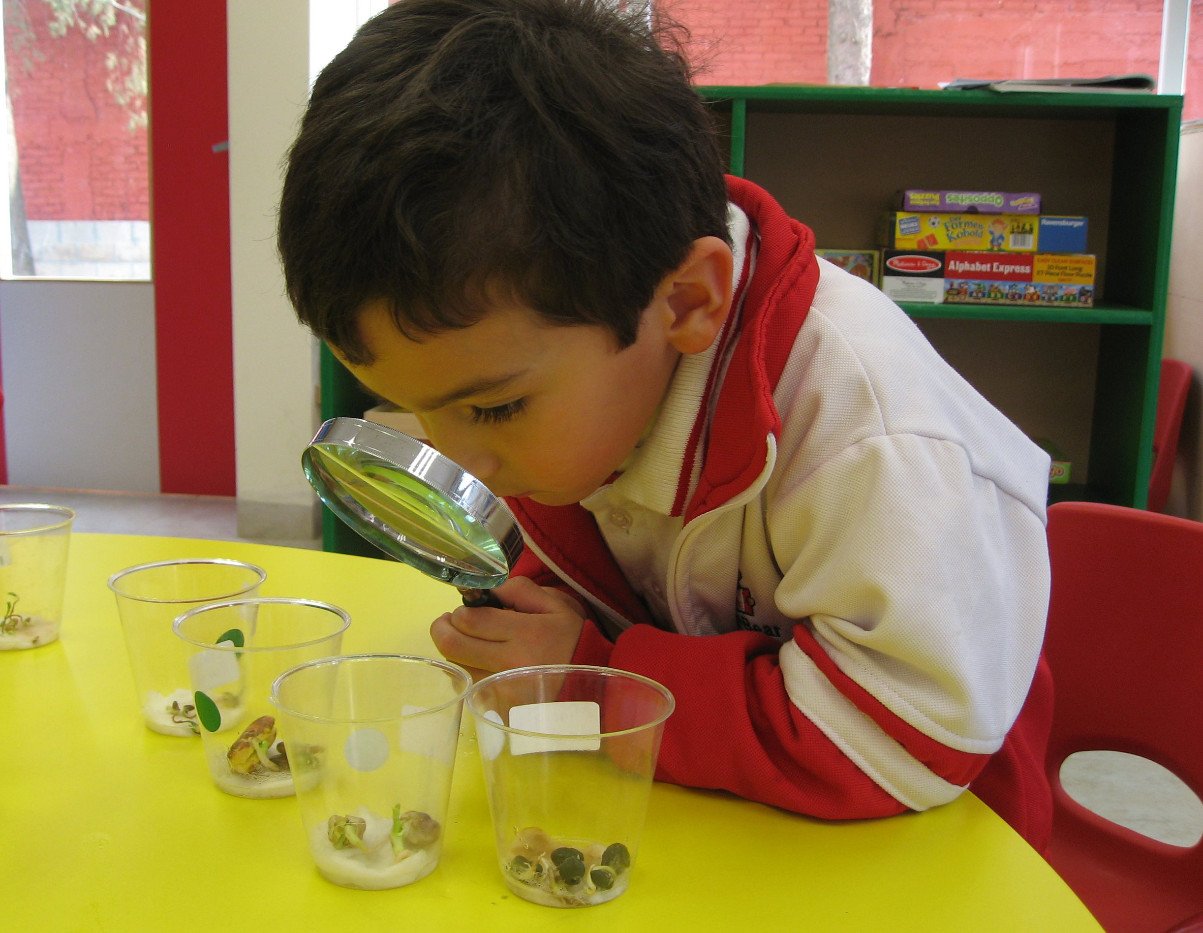 Kinder-4