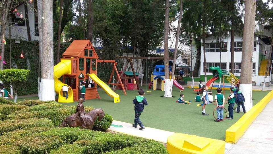 Nuestro-bosque-sc