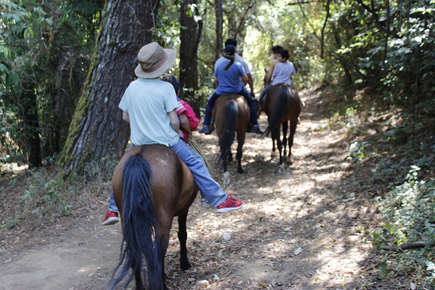 muuu-mi-granjita-caballos-momadvisor muuu-mi-granjita-caballos-momadvisor