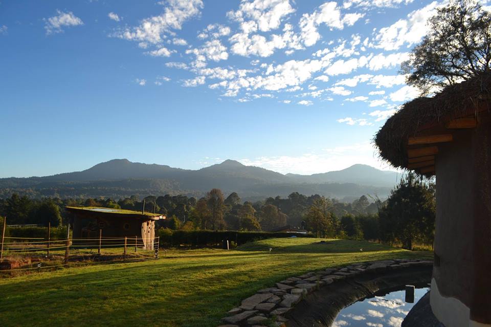 canto-del-colibri-momadvisor canto-del-colibri-momadvisor
