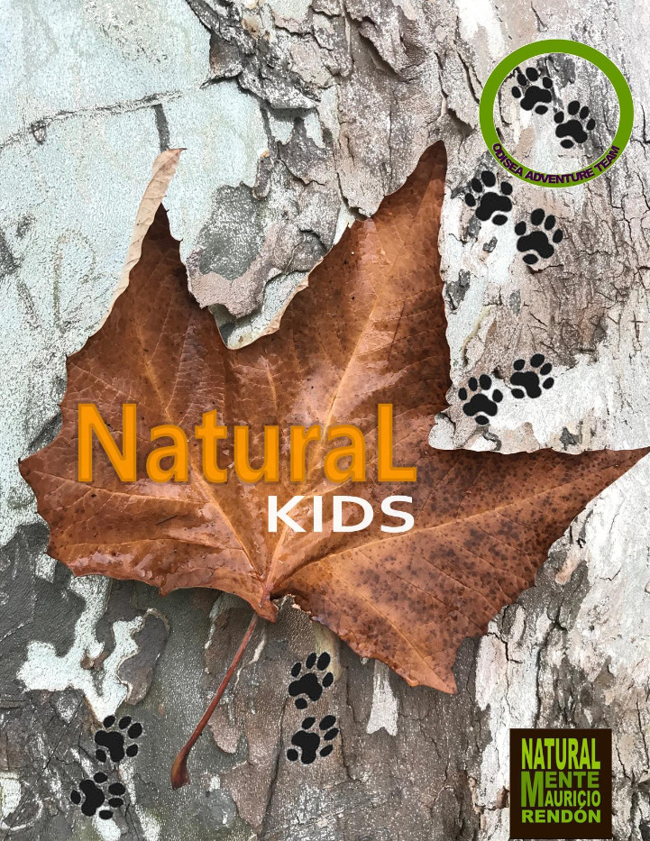 hoja-huellas-natural-kids