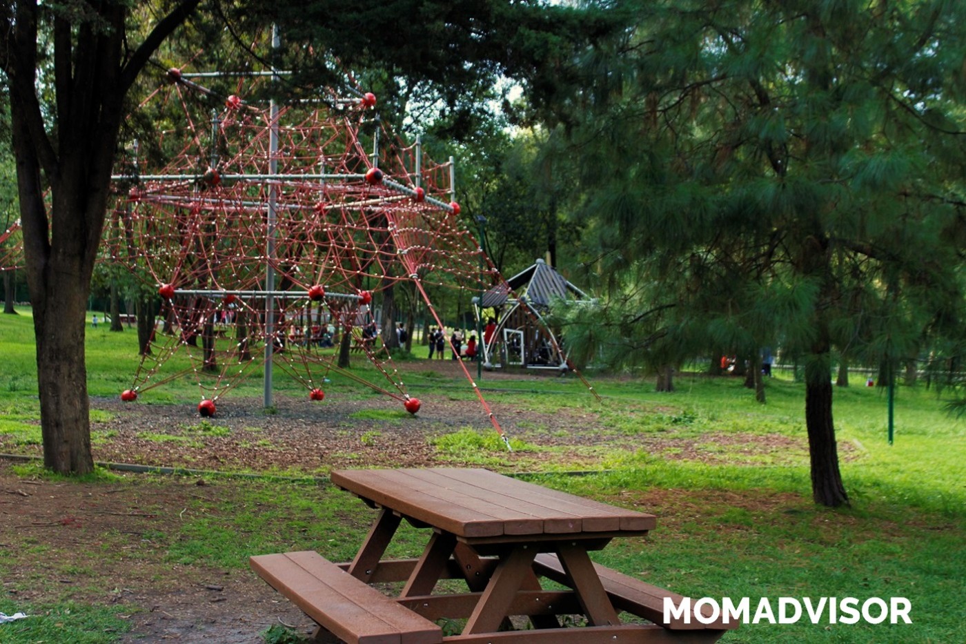 parque-de-la-hormiga-banca-juegos-chapultepec-momadvisor parque-de-la-hormiga-banca-juegos-chapultepec-momadvisor