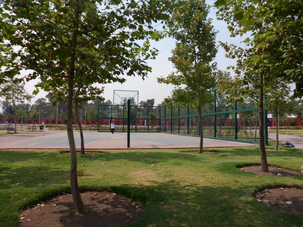 parque-bicentenario-basket-ball parque-bicentenario-basket-ball