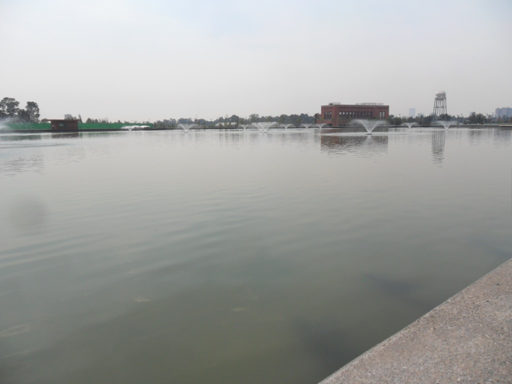 parque-bicentenario-lago1 parque-bicentenario-lago1