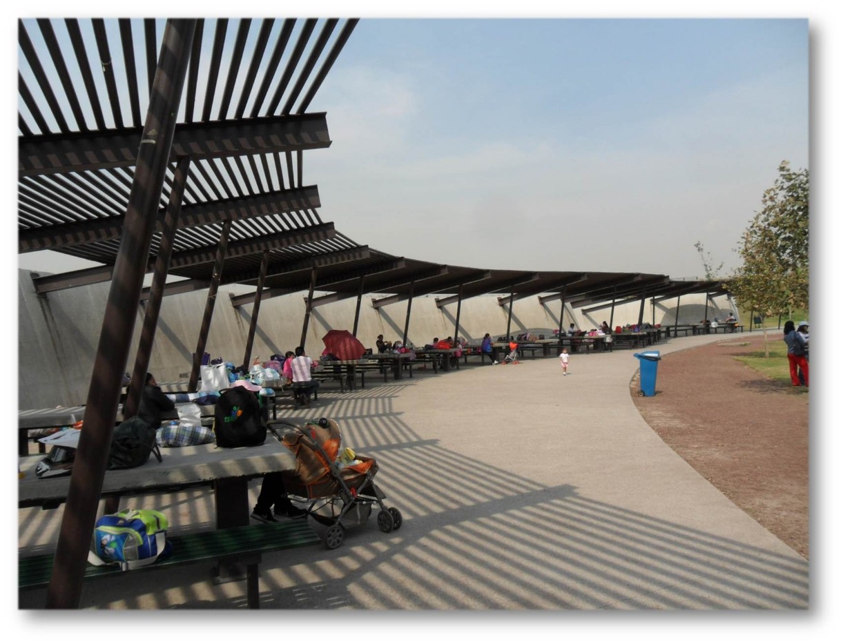 parque-bicentenario-picnic parque-bicentenario-picnic