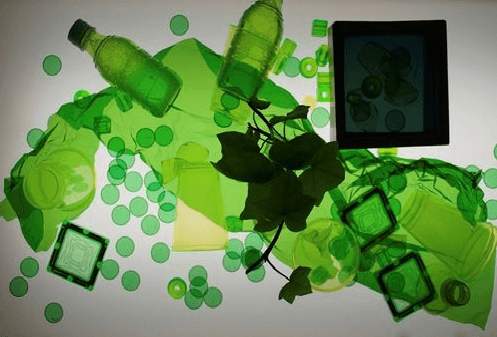 eton-school-preescolar-green eton-school-preescolar-green