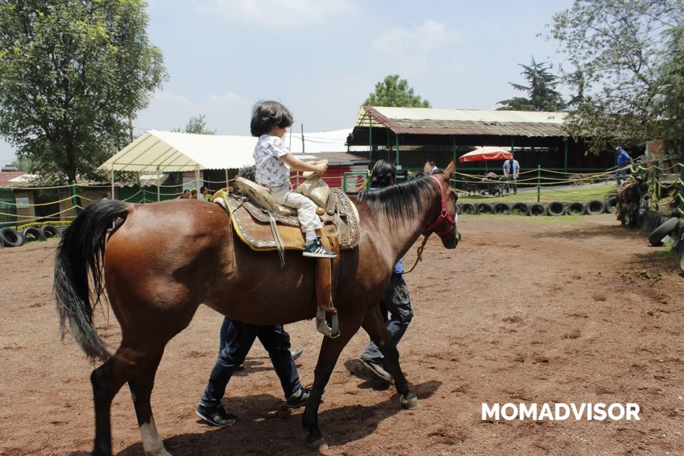 lugares-la-granja-del-tio-pepe-jinete-momadvisor lugares-la-granja-del-tio-pepe-jinete-momadvisor