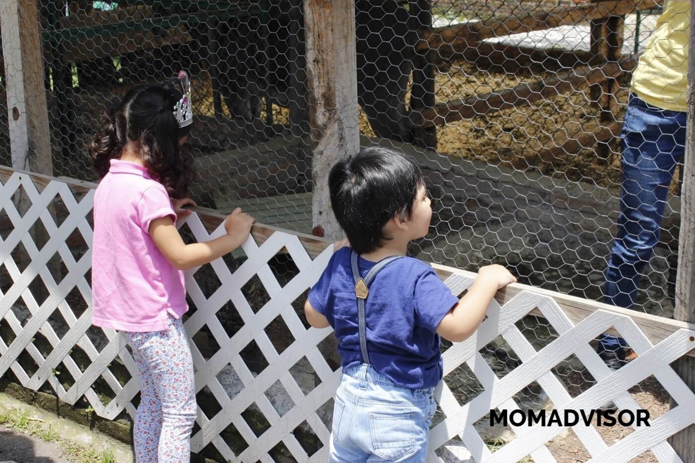lugares-la-granja-del-tio-pepe-ninos-momadvisor lugares-la-granja-del-tio-pepe-ninos-momadvisor
