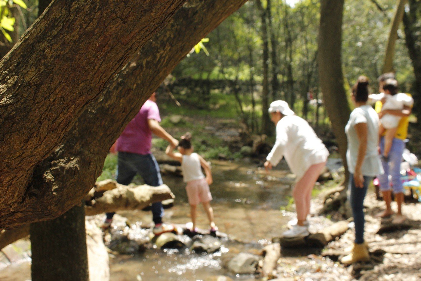 parque-nacional-fuentes-brotantes-tlalpan-cdmx-ciudad-de-mexico-actividades-con-ninos-familia-paseo-1 parque-nacional-fuentes-brotantes-tlalpan-cdmx-ciudad-de-mexico-actividades-con-ninos-familia-paseo-1
