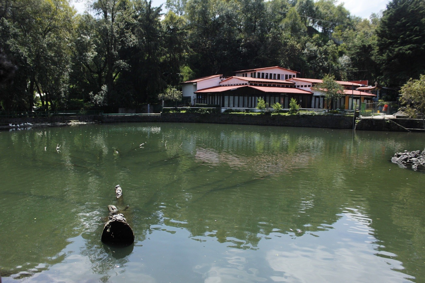 parque-nacional-fuentes-brotantes-tlalpan-cdmx-ciudad-de-mexico-actividades-con-ninos-familia-paseo-lago-casita