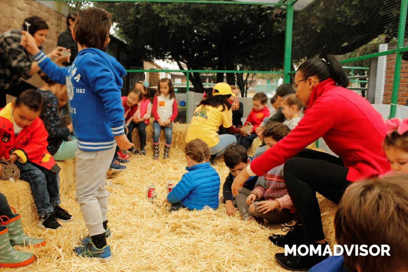 granja_del_tio_pepe_fiestas_tematicas_animales_cdmx_cumpleaños_niños_conejos-1 granja_del_tio_pepe_fiestas_tematicas_animales_cdmx_cumpleaños_niños_conejos-1