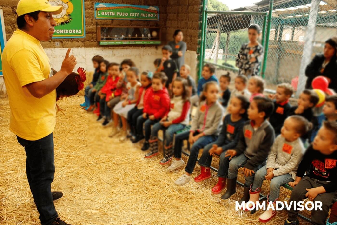 granja_del_tio_pepe_fiestas_tematicas_animales_cdmx_cumpleaños_niños_gallinas-1 granja_del_tio_pepe_fiestas_tematicas_animales_cdmx_cumpleaños_niños_gallinas-1