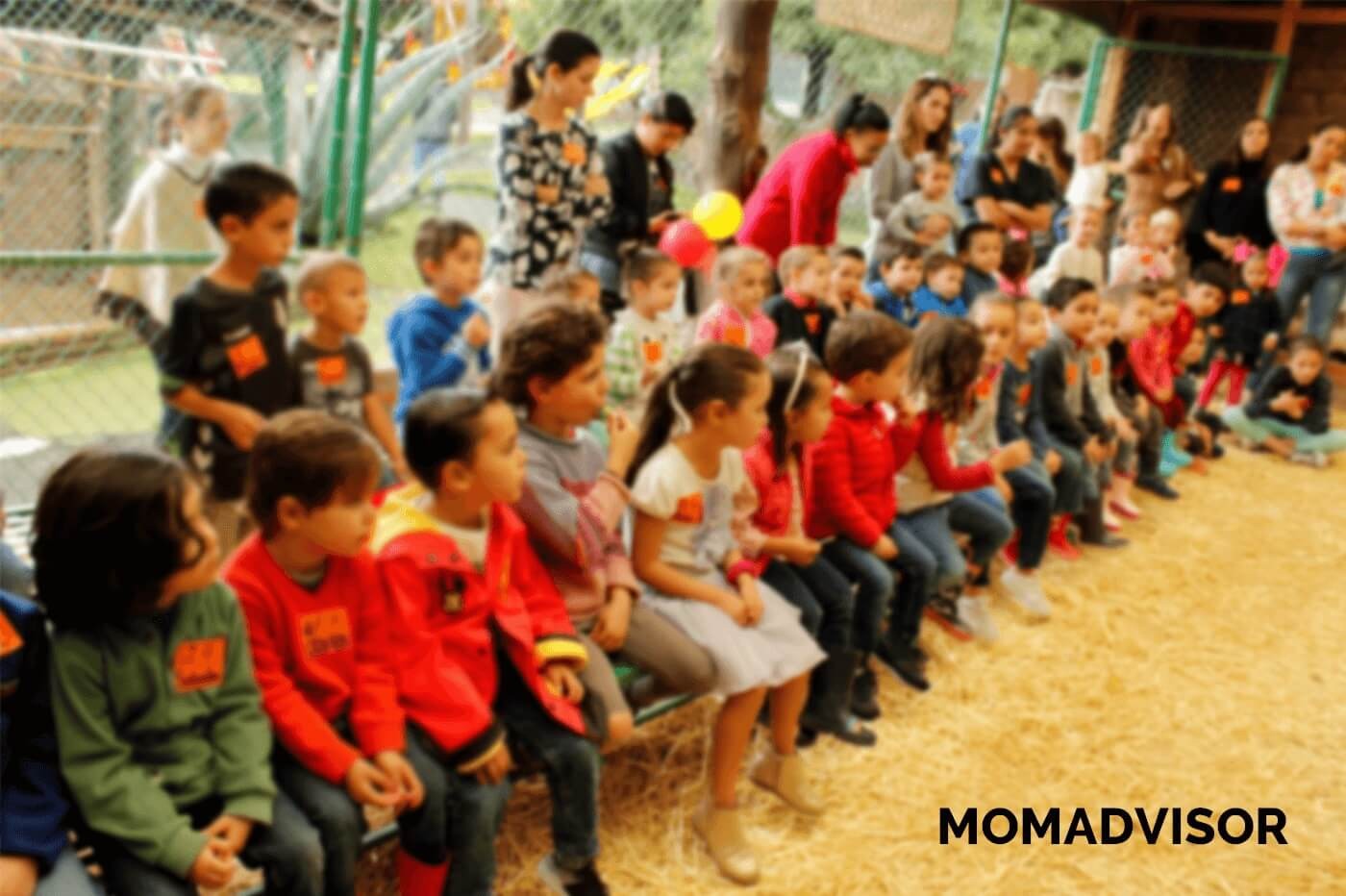 granja_del_tio_pepe_fiestas_tematicas_animales_cdmx_cumpleaños_niños_gallinas_pollitos granja_del_tio_pepe_fiestas_tematicas_animales_cdmx_cumpleaños_niños_gallinas_pollitos