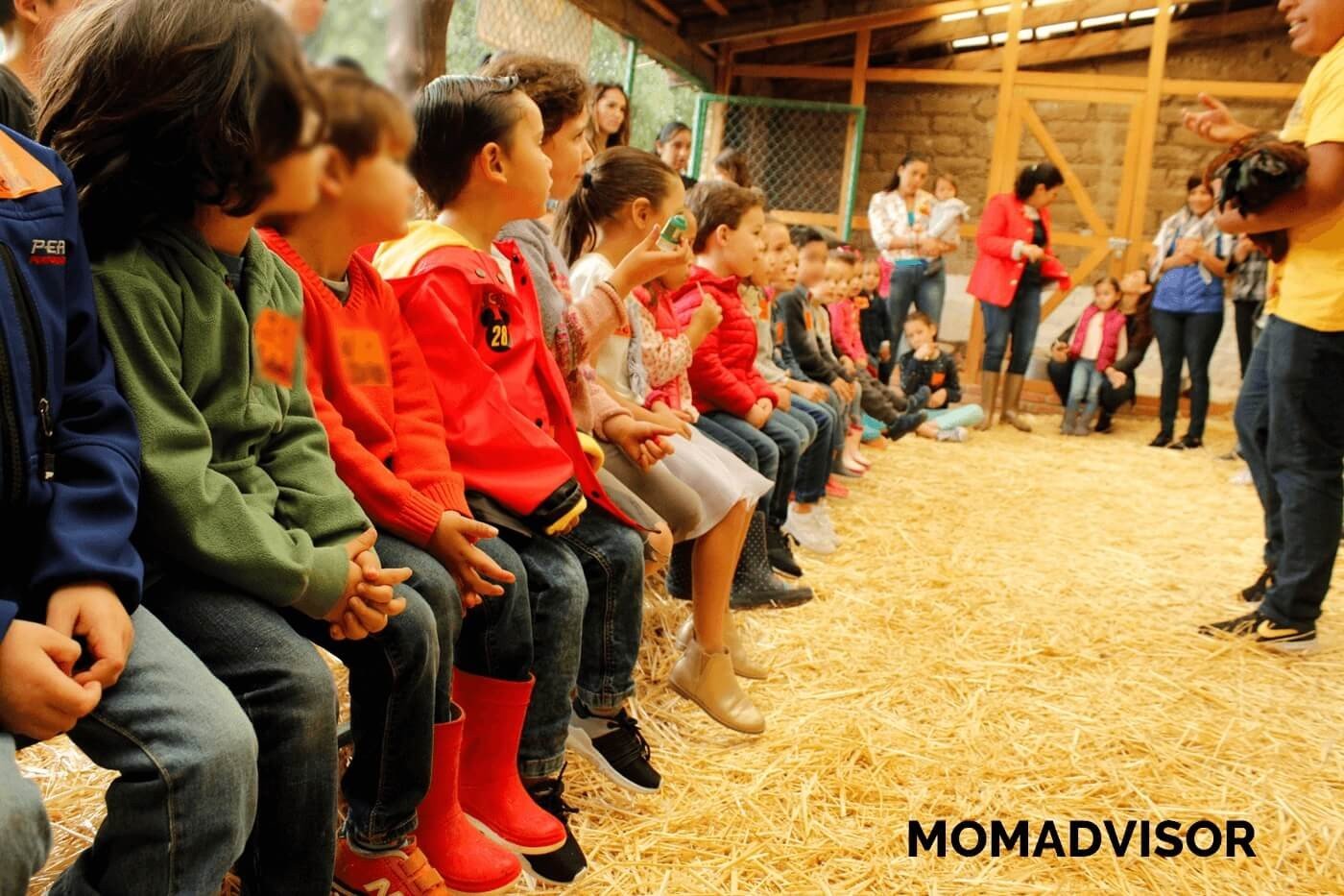 granja_del_tio_pepe_fiestas_tematicas_animales_cdmx_cumpleaños_niños_gallo_gallina_pollitos granja_del_tio_pepe_fiestas_tematicas_animales_cdmx_cumpleaños_niños_gallo_gallina_pollitos