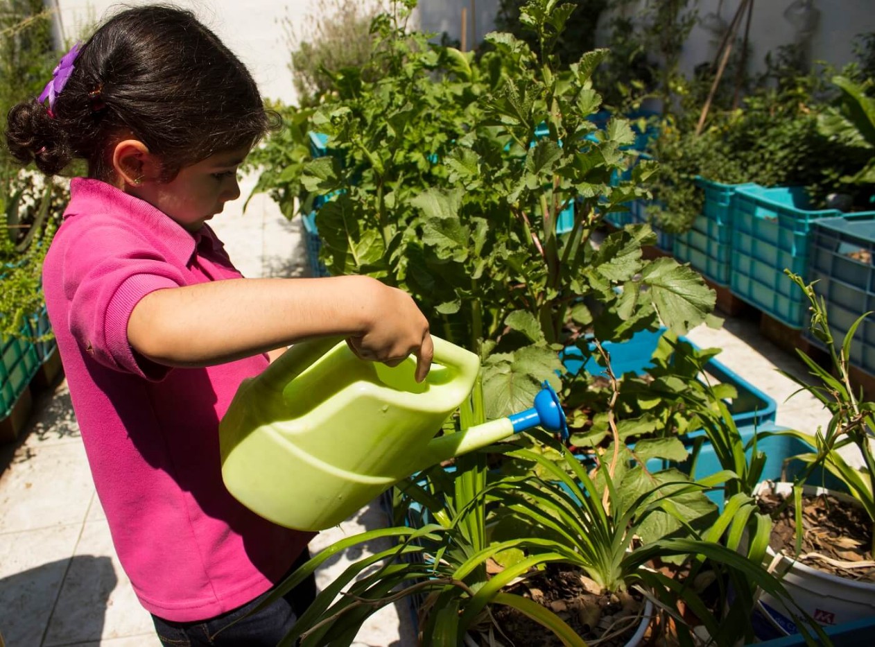 colegio-bertalanffy-huerto-cdmx-highscope-school-fest-momadvisor