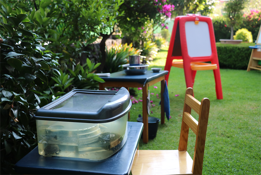 montessori-del-pedregal-jardin montessori-del-pedregal-jardin