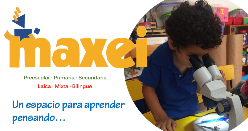 Maxei