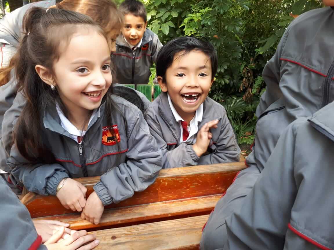 maple-bear-canadian-school-fest-momadvisor-nursery-preescolar-primaria-papalote