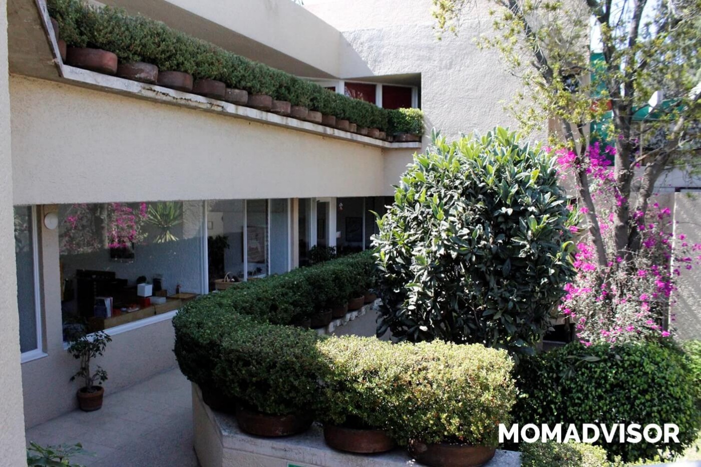 montessori-del-pedregal-CDMX-comunidad-infantil-taller-casa-de-ninos-nido-pasillos montessori-del-pedregal-CDMX-comunidad-infantil-taller-casa-de-ninos-nido-pasillos