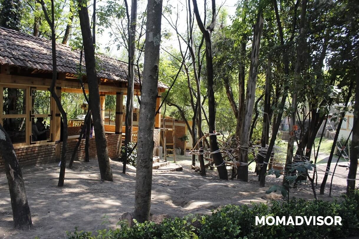 colegio-inlakesh-waldorf-cdmx-bosques-de-tarango-preescolar-primaria-secundaria-momadvisor-comedor colegio-inlakesh-waldorf-cdmx-bosques-de-tarango-preescolar-primaria-secundaria-momadvisor-comedor
