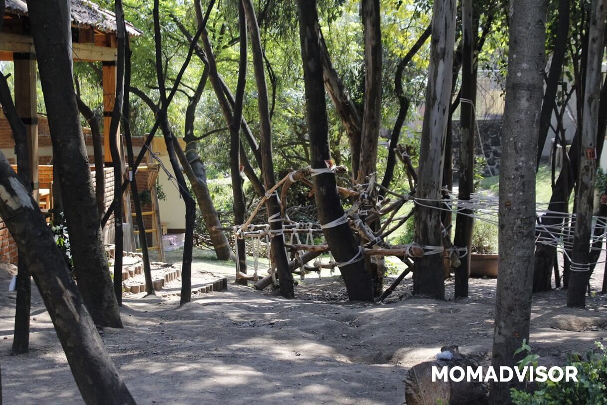 colegio-inlakesh-waldorf-cdmx-bosques-de-tarango-preescolar-primaria-secundaria-momadvisor-teleranas colegio-inlakesh-waldorf-cdmx-bosques-de-tarango-preescolar-primaria-secundaria-momadvisor-teleranas