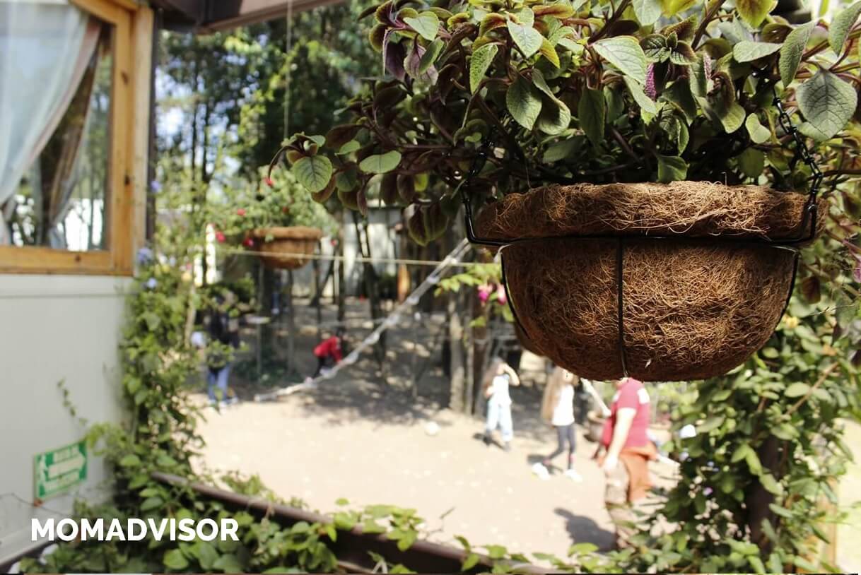 colegio-inlakesh-waldorf-cdmx-bosques-de-tarango-preescolar-primaria-secundaria-salon-maternal-patio colegio-inlakesh-waldorf-cdmx-bosques-de-tarango-preescolar-primaria-secundaria-salon-maternal-patio
