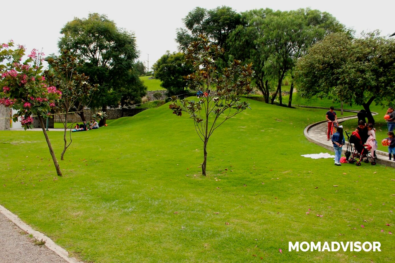 Bio-Parque-Urbano-San-Antonio-CDMX-arboles-1-1 Bio-Parque-Urbano-San-Antonio-CDMX-arboles-1-1