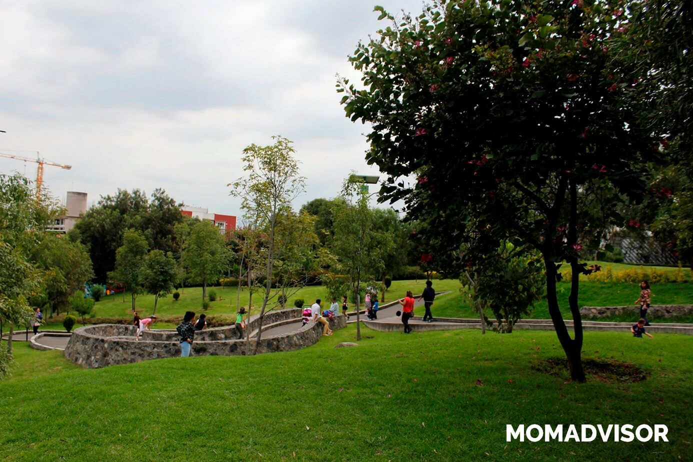 Bio-Parque-Urbano-San-Antonio-CDMX-caminos-1 Bio-Parque-Urbano-San-Antonio-CDMX-caminos-1