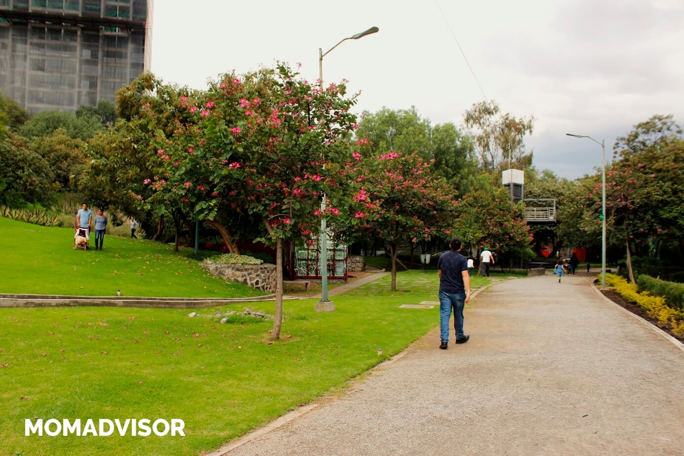 Bio-Parque-Urbano-San-Antonio-CDMX-pasillos-1 Bio-Parque-Urbano-San-Antonio-CDMX-pasillos-1