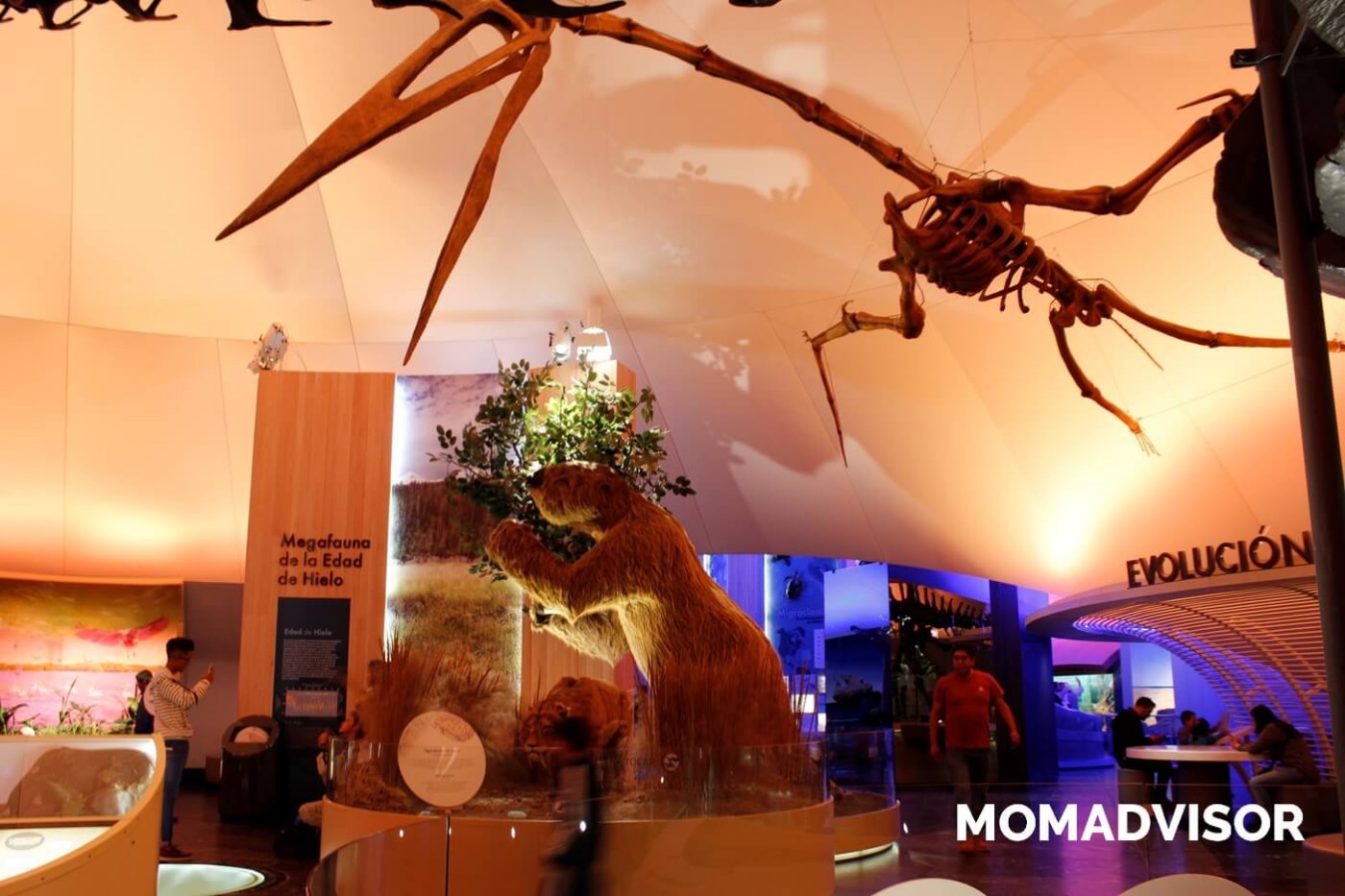 museo-de-historia-natural-cdmx-chapultepec-biodiversidad-especies-evolucion-mexico-actividades-para-ninos