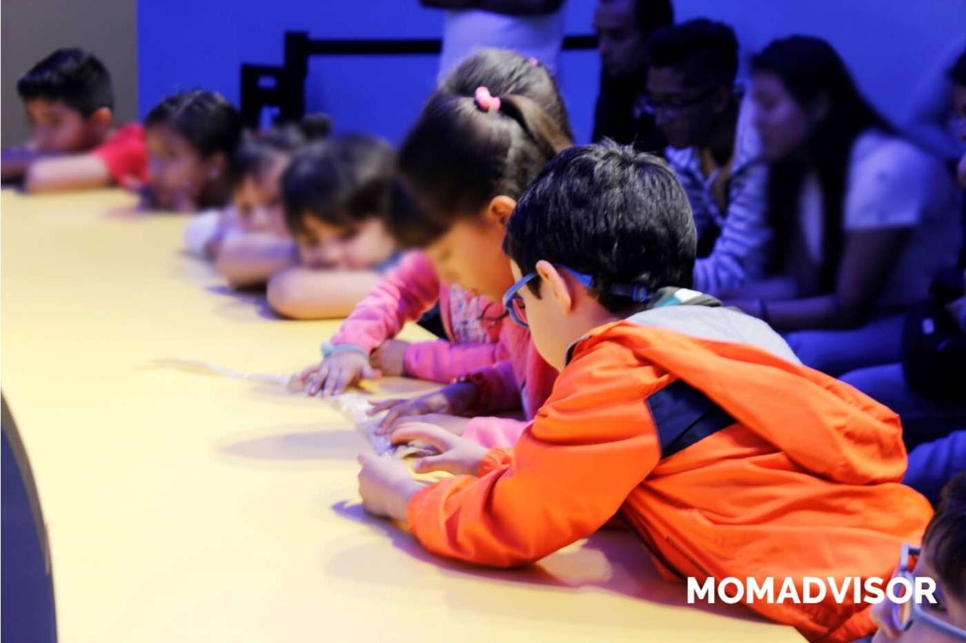 museo-de-historia-natural-cdmx-chapultepec-biodiversidad-especies-mexico-actividades-para-ninos-talleres