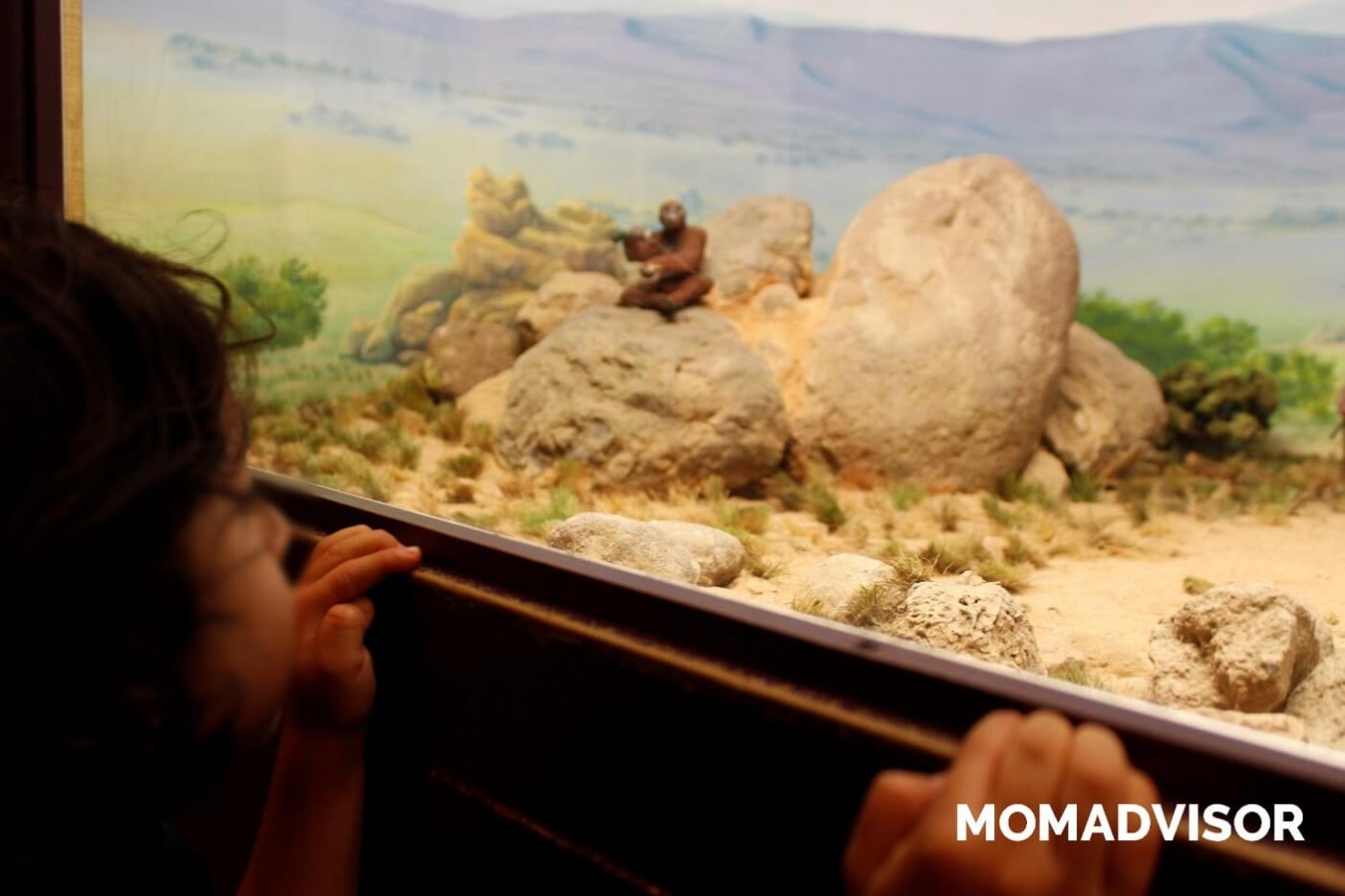 museo-de-historia-natural-cdmx-chapultepec-biodiversidad-especies-mexico-exposicion-vitrina-actividades-para-ninos
