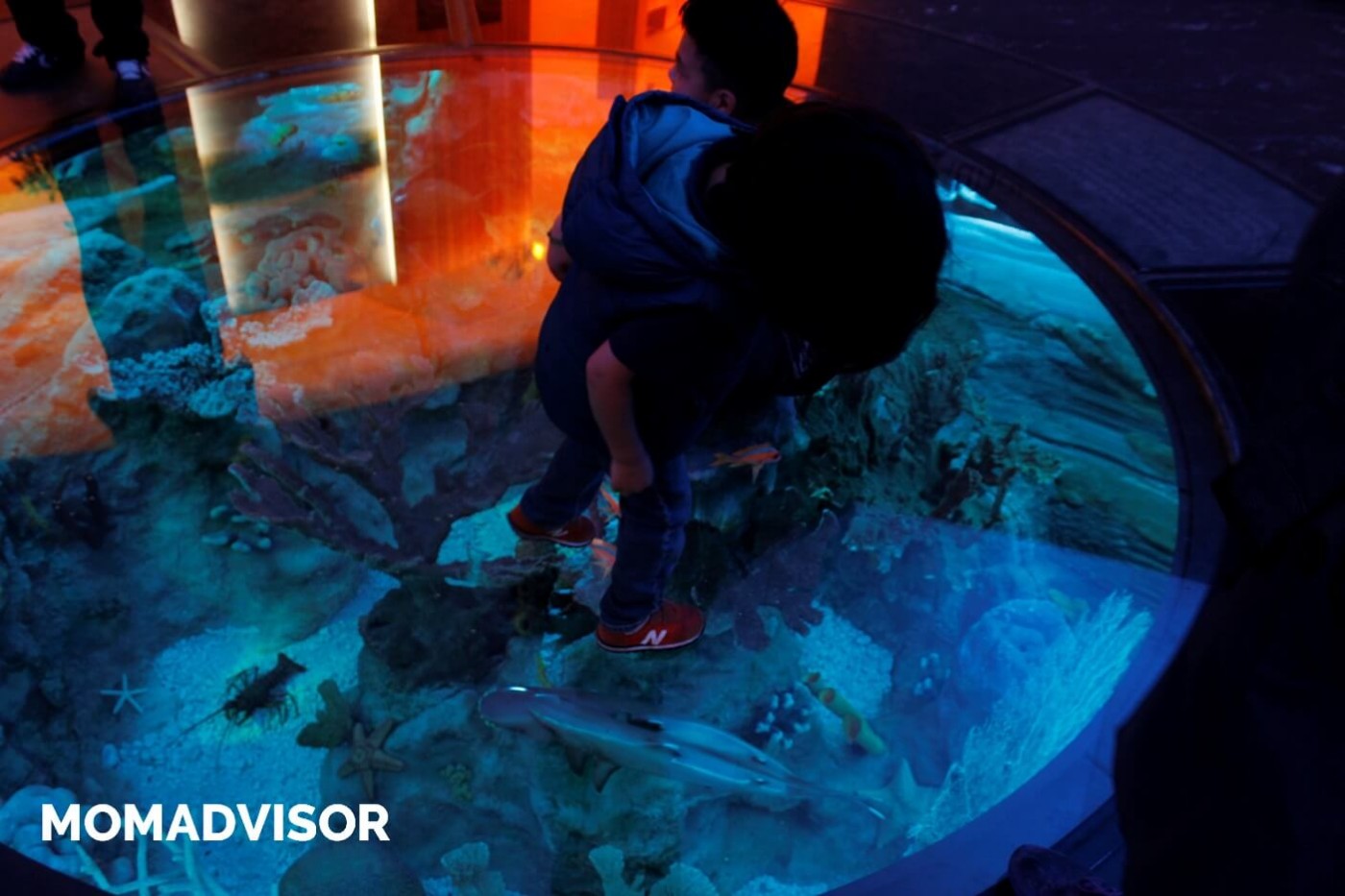 museo-de-historia-natural-cdmx-chapultepec-biodiversidad-fondo-del-mar-ninos-actividades-para-ninos