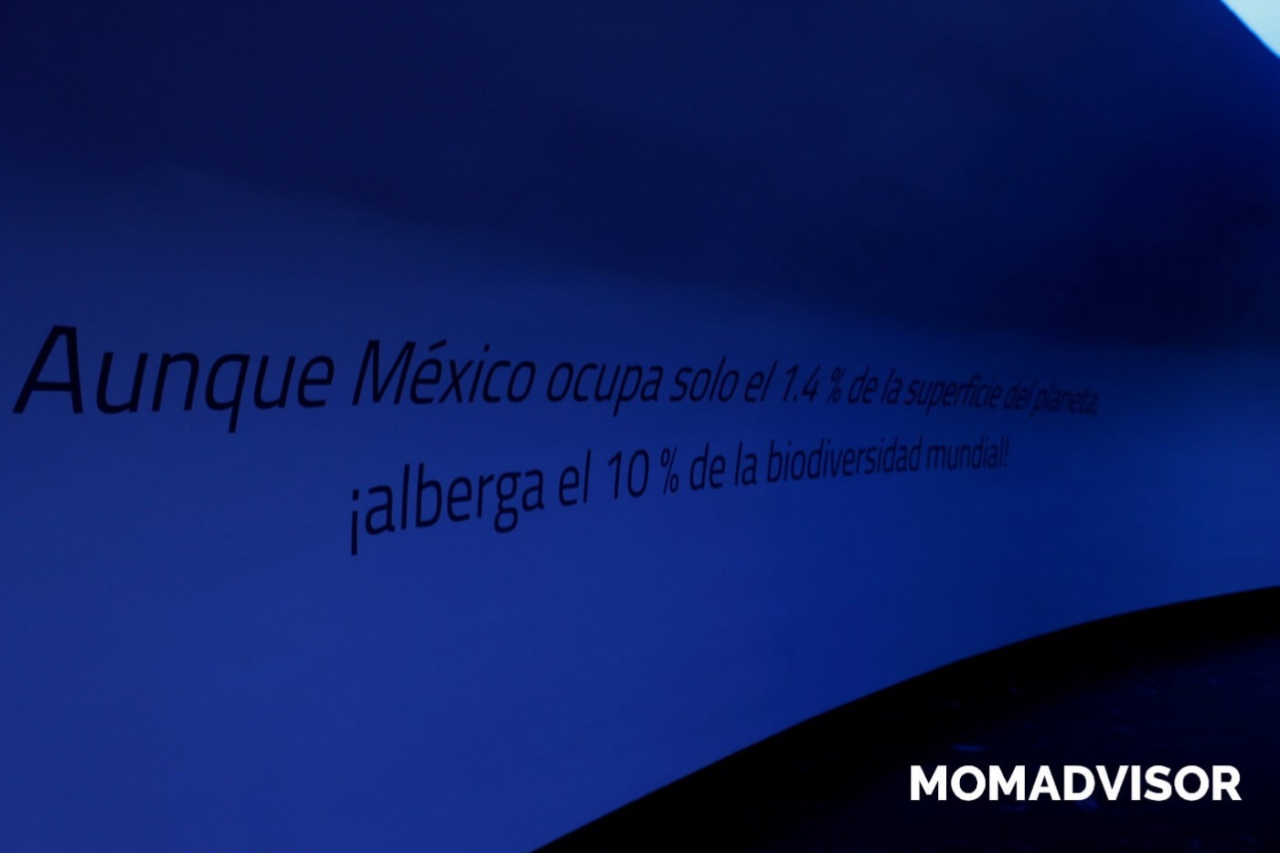 museo-de-historia-natural-cdmx-chapultepec-biodiversidad-mexico-actividades-para-ninos