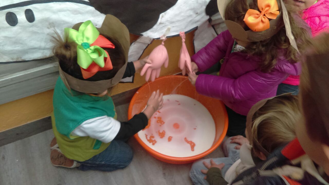 rootland-daycare-cdmx-guarderia rootland-daycare-cdmx-guarderia