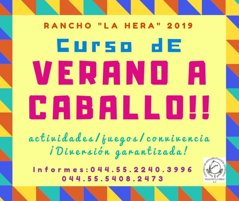 verano 19.2 768x644