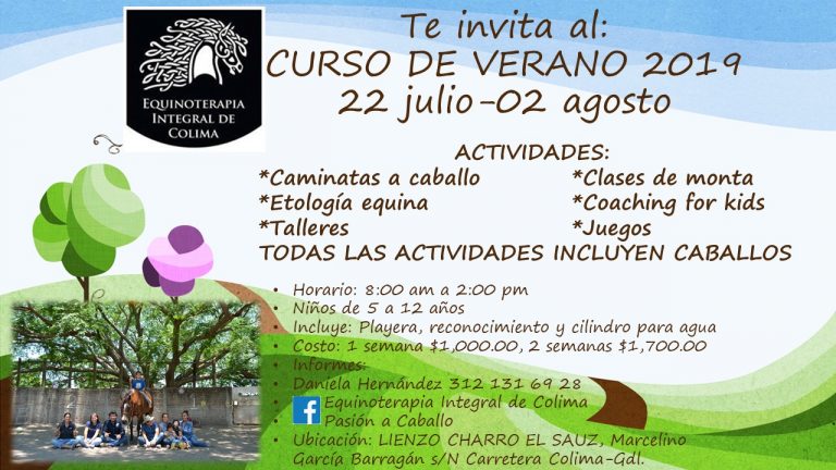 curso verano 2019 fotos 768x432