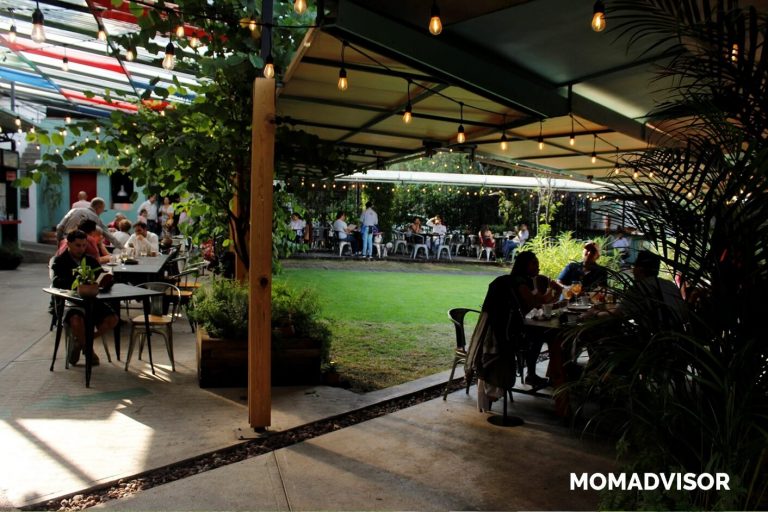 restaurante parrilla paraiso comida uruguaya ciudad de mexico cdmx tlalpan comer con niños familia terraza logo 768x512