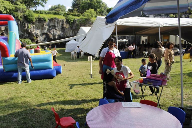 casa club del académico ciudad universitaria restaurante comer con niños lugares momadvisor pintacaritas 768x512