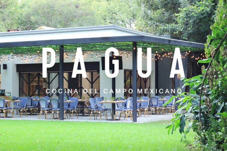 pagua cocina del campo mexicana ciudad de mexico cdmx comer con niños 768x512