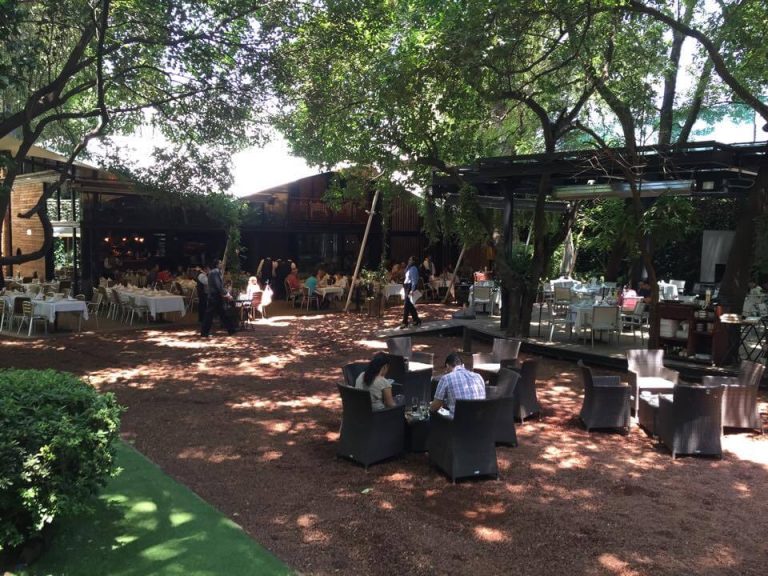 piantao cuicuilco comer con niños restaurante cdmx 768x576