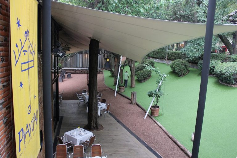 piantao cuicuilco comer con niños restaurante cdmx jardin 768x512