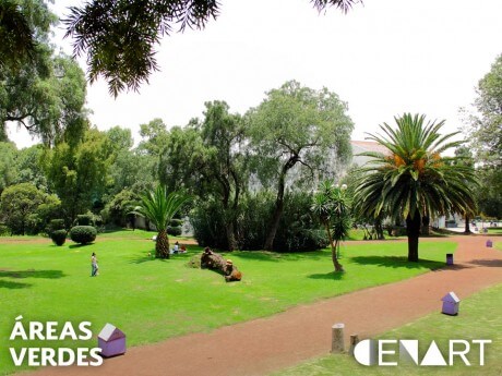 areas verdes cenart centro nacional de las artes ciudad de mexico churubusco actividades para niños a donde ir con ninos